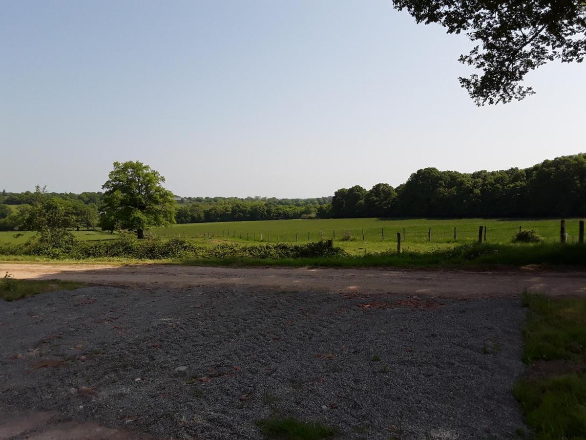 Domaine Du Bois Chaumet Bed & Breakfast Couzon ภายนอก รูปภาพ